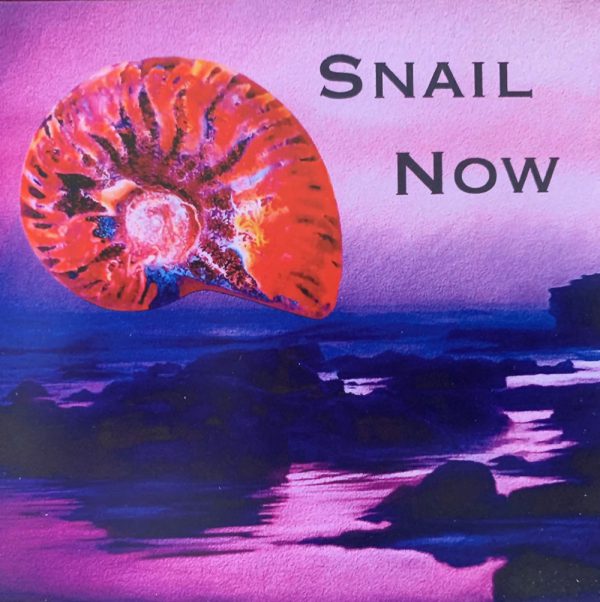 Snail Now Front